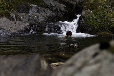 Nelson – Cold creek